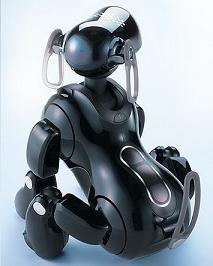 aibo